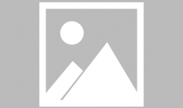 小说 动漫,动漫与小说的奇幻融合之旅